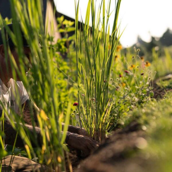 Gartenerde – Bild 8