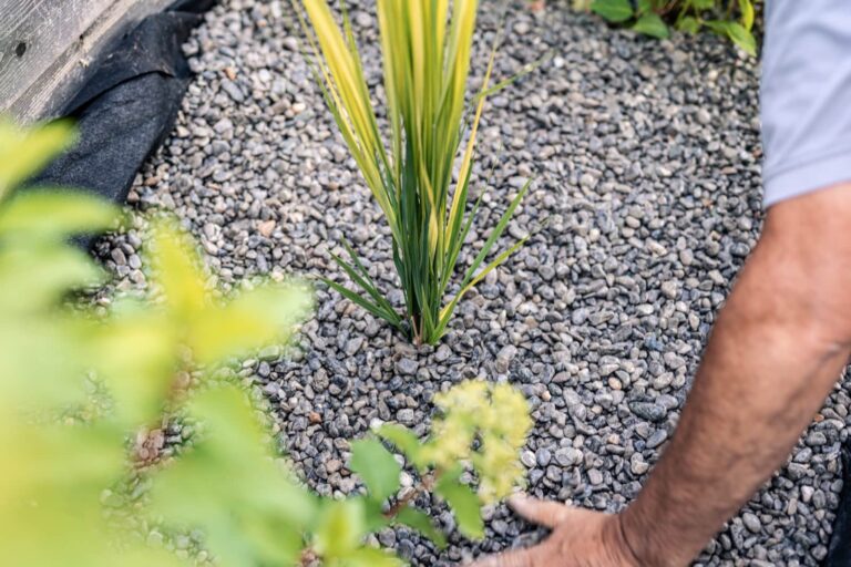 Alternative Gartengestaltung