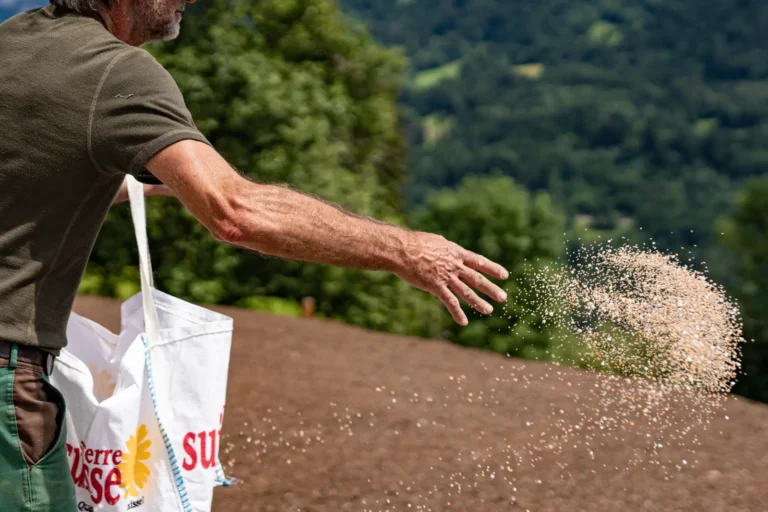 Rasendüngen im Herbst: Warum, wann und wie?