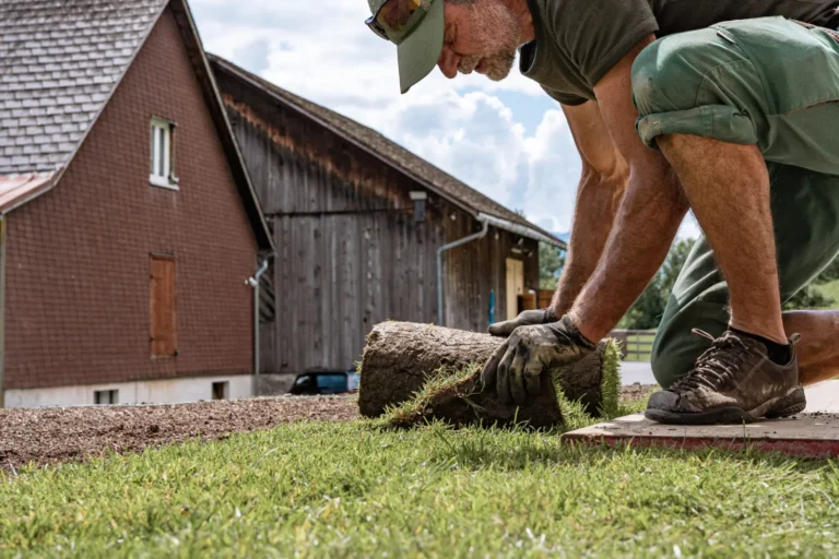 Rasenansaat und Rollrasen verlegen