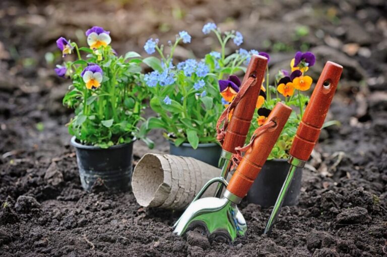 Vorbereitung im Garten für den Frühling