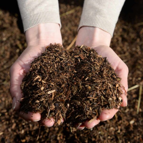 Bio-Waldboden Pferdeeinstreu – Bild 5