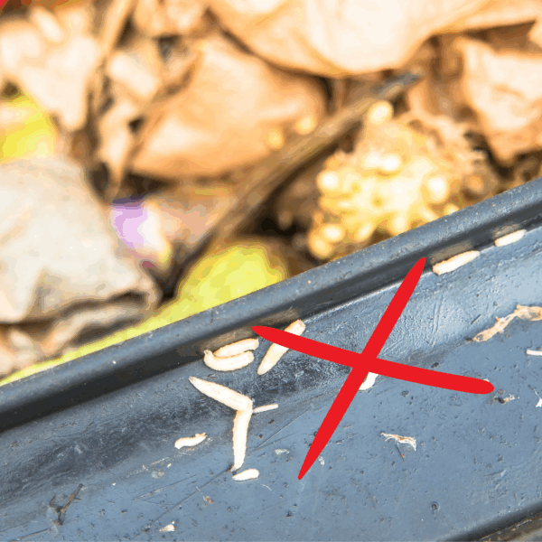 Agricon Bio- und Mülltonnenstreu 10l – Bild 2